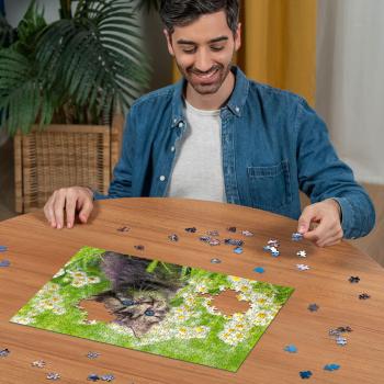 500 Teile Ravensburger Puzzle Kätzchen in der Wiese 12000367