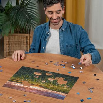 500 Teile Ravensburger Puzzle Pusteblumen im Sonnenuntergang 12000592