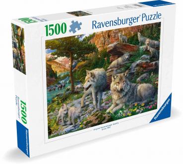 1500 Teile Ravensburger Puzzle Wolfsrudel im Frühlingserwachen 12000719