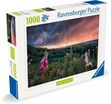 1000 Teile Ravensburger Puzzle Ein Sturm zieht auf 12000793