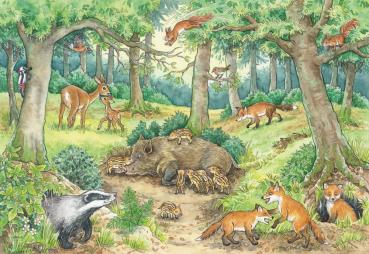 2 x 12 Teile Ravensburger Kinder Puzzle Wieso? Weshalb? Warum? Tiere im Wald und auf der Wiese 05673