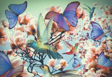 300 Teile Ravensburger Puzzle Moments Hummingbird Relax Enjoy 12969