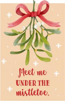 99 Teile Ravensburger Puzzle Meet me under the mistletoe 17358