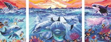 Ravensburger Malen nach Zahlen CREART Premium Sonderserie Dolphins at Sunset Triptychon 23577