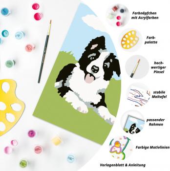 Ravensburger Malen nach Zahlen Classic Serie F Border Collie Welpe 23759