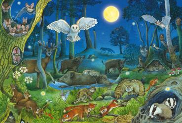 100 Teile Schmidt Spiele Kinder Puzzle Tiere nachts im Wald 56529