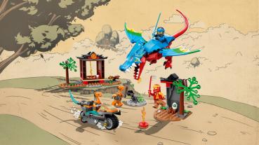 LEGO® NINJAGO® Drachentempel 161 Teile 71759