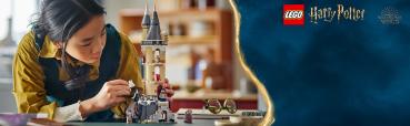 LEGO® Harry Potter™ Eulerei auf Schloss Hogwarts™ 364 Teile 76430