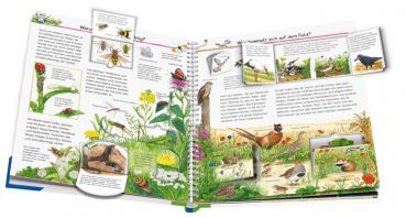 Ravensburger Buch Wieso? Weshalb? Warum? Wir entdecken heimische Tiere Band 71 32948