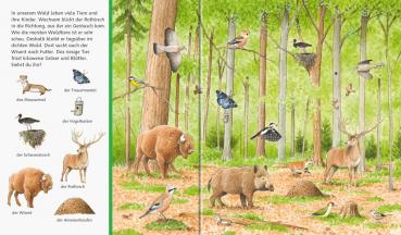 Ravensburger Buch Pappbilderbuch Sachen suchen Tiere im Wald 41748