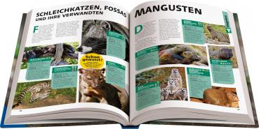 Ravensburger Buch Kindersachbuch National Geographic Kids Lexikon der Tiere 48095