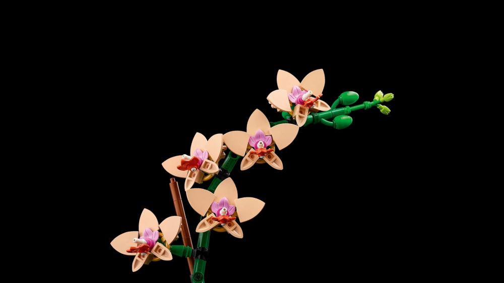 LEGO Botanicals Mini-Orchidee 274 Teile 10343