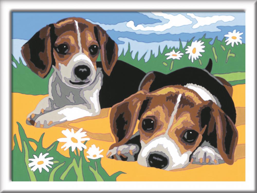 Ravensburger Malen nach Zahlen Classic Serie D Jack Russel Welpen 28329