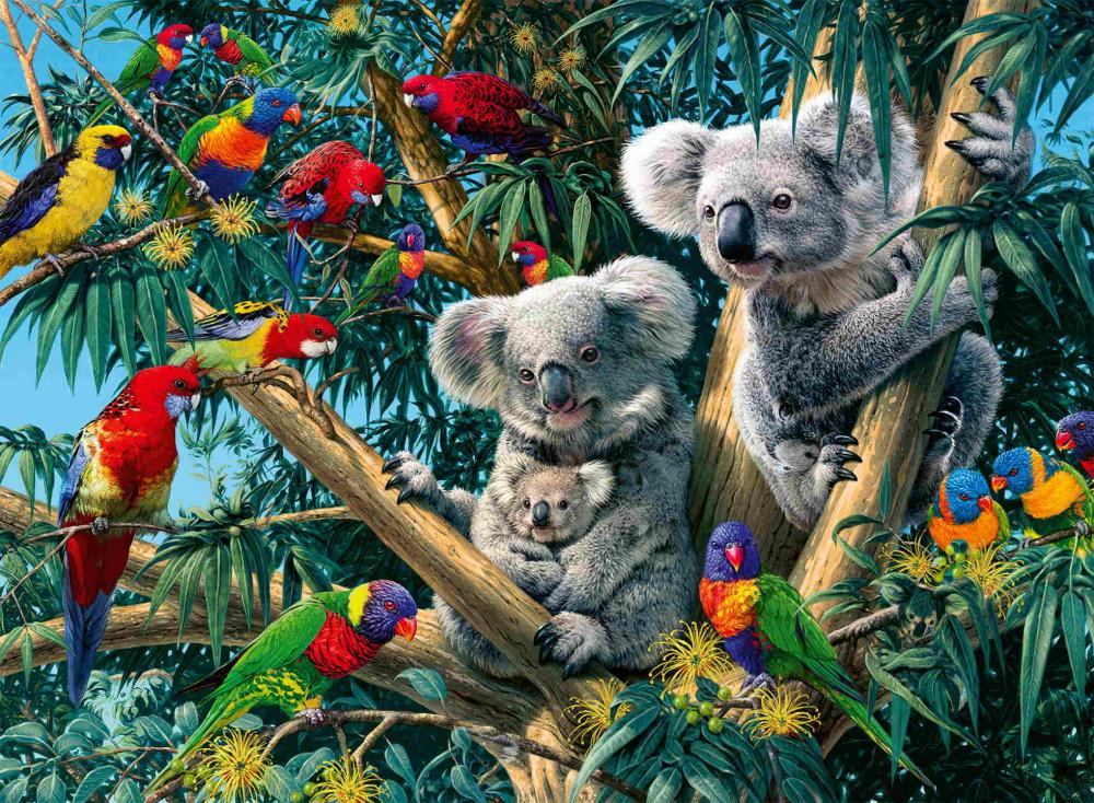 500 Teile Ravensburger Puzzle Koalas im Baum 12000206