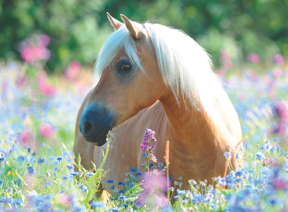 300 Teile Ravensburger Kinder Puzzle XXL Pferd im Blumenmeer 13294