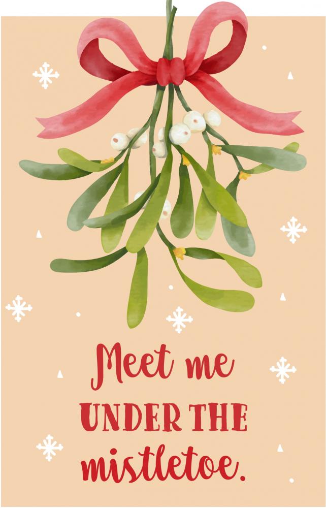 99 Teile Ravensburger Puzzle Meet me under the mistletoe 17358