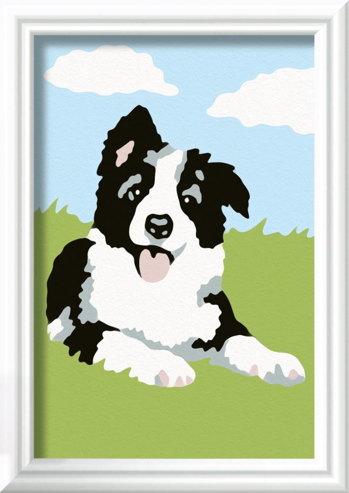 Ravensburger Malen nach Zahlen Classic Serie F Border Collie Welpe 23759