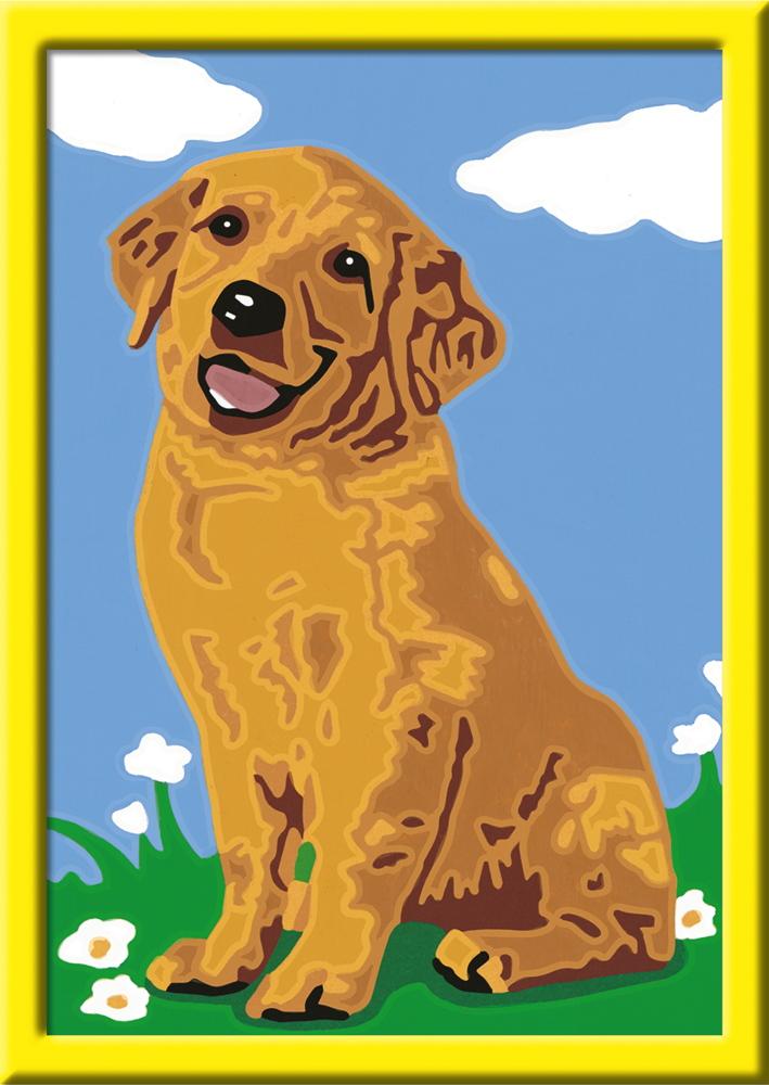 Ravensburger Malen nach Zahlen Classic Serie F Kleiner Golden Retriever 28511