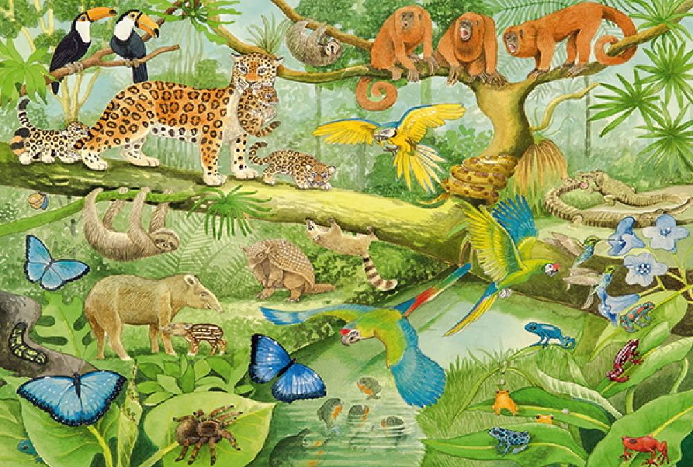 100 Teile Schmidt Spiele Kinder Puzzle Tiere im Regenwald 56250