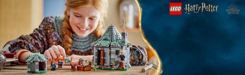 LEGO® Harry Potter™ Hagrids Hütte: Ein unerwarteter Besuch 896 Teile 76428