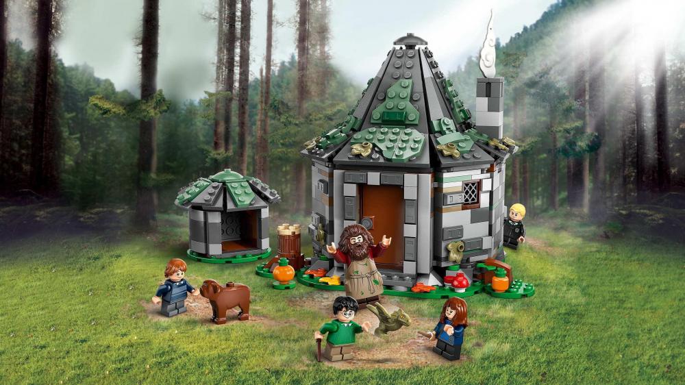 LEGO® Harry Potter™ Hagrids Hütte: Ein unerwarteter Besuch 896 Teile 76428