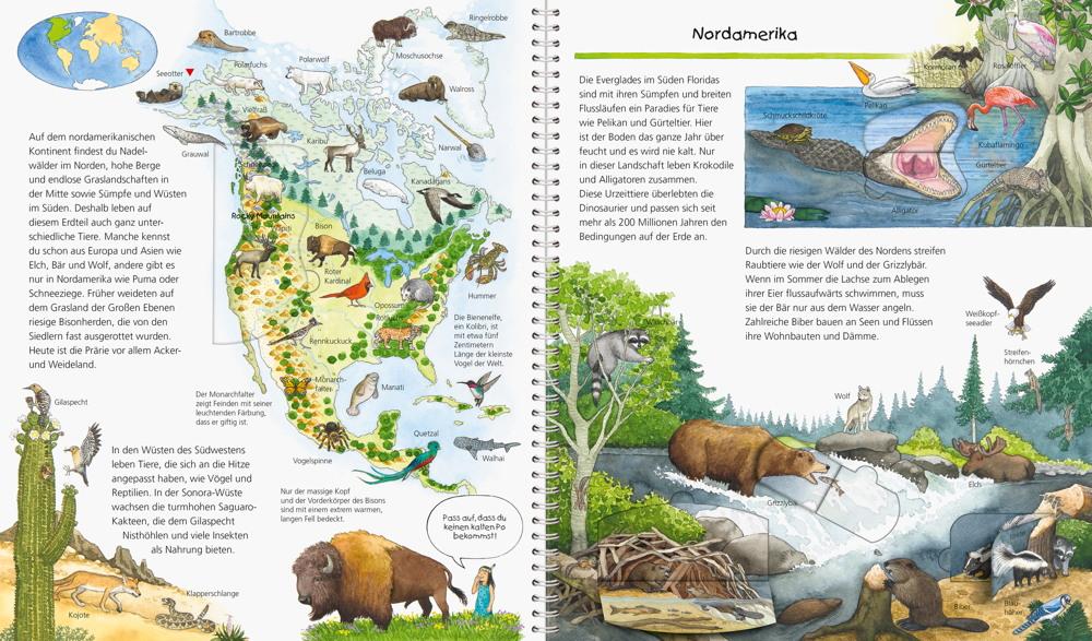 Ravensburger Buch Wieso? Weshalb? Warum? Mein großer Tieratlas 32601