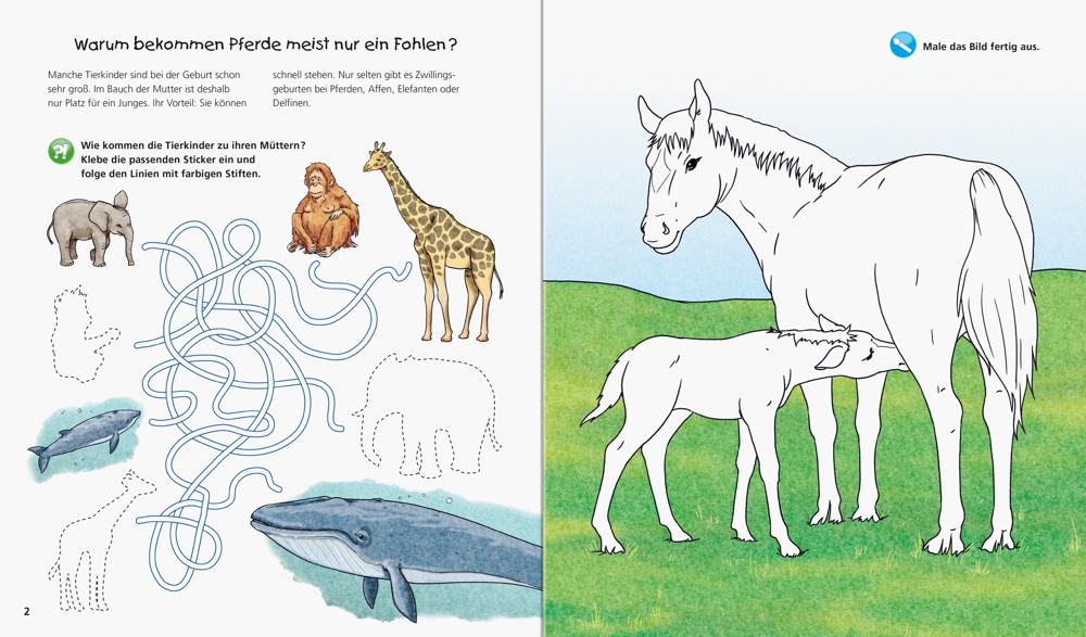 Ravensburger Buch Wieso? Weshalb? Warum? aktiv-Heft Tierkinder 32693