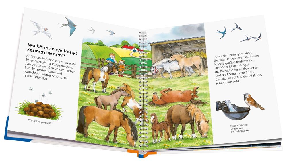 Ravensburger Buch Wieso? Weshalb? Warum? Junior Das Pony Band 20 32773