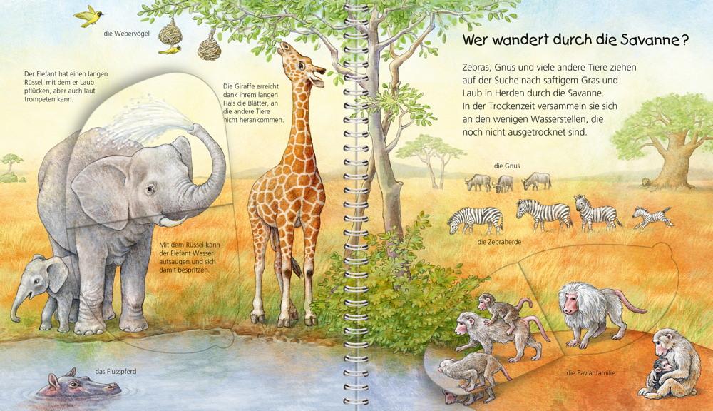 Ravensburger Buch Wieso? Weshalb? Warum? Mein junior-Lexikon Tiere 32891