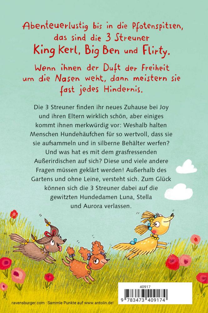 Ravensburger Buch Erzählendes Kinderbuch 3 Streuner wittern das Abenteuer 40917