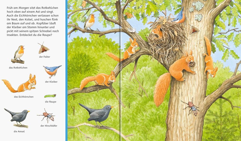 Ravensburger Buch Pappbilderbuch Sachen suchen Tiere im Wald 41748