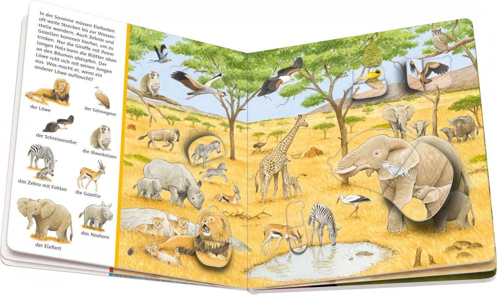 Ravensburger Buch Pappbilderbuch Mein Sachen suchen Wimmelbuch Tiere und ihre Kinder 41916