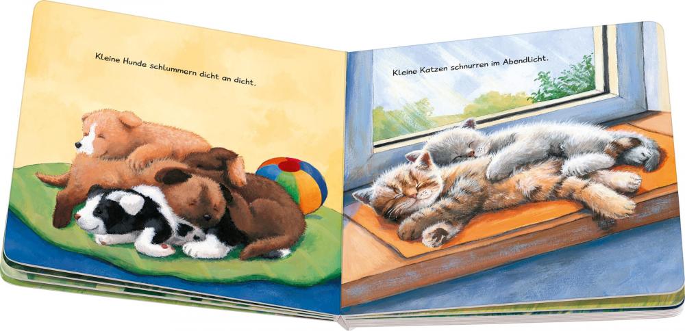 Ravensburger Buch Pappbilderbuch Vorlesen Wenn kleine Tiere müde sind 42136