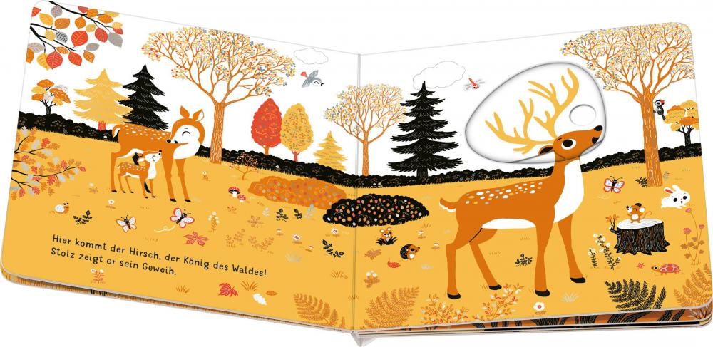 Ravensburger Buch Pappbilderbuch Mitmachen Mein erstes Glitzerbuch Im Wald 42248