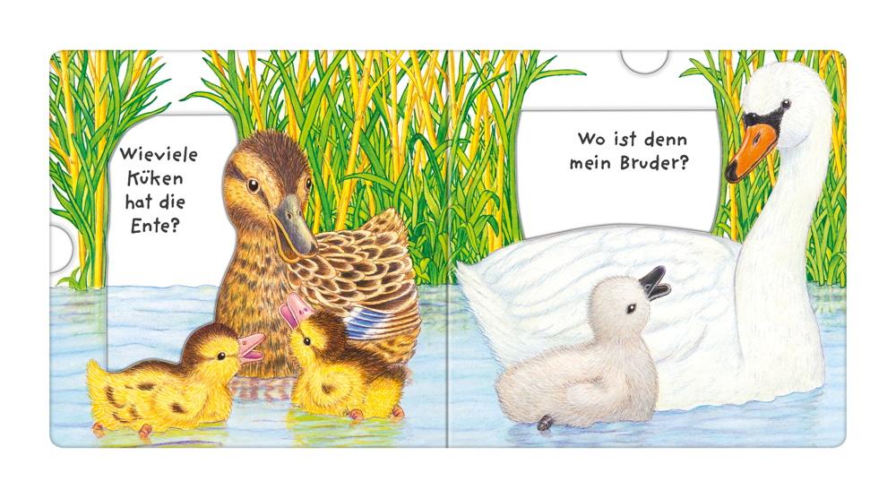 Ravensburger Pappbilderbuch Tierkinder, wo seid ihr? 43515