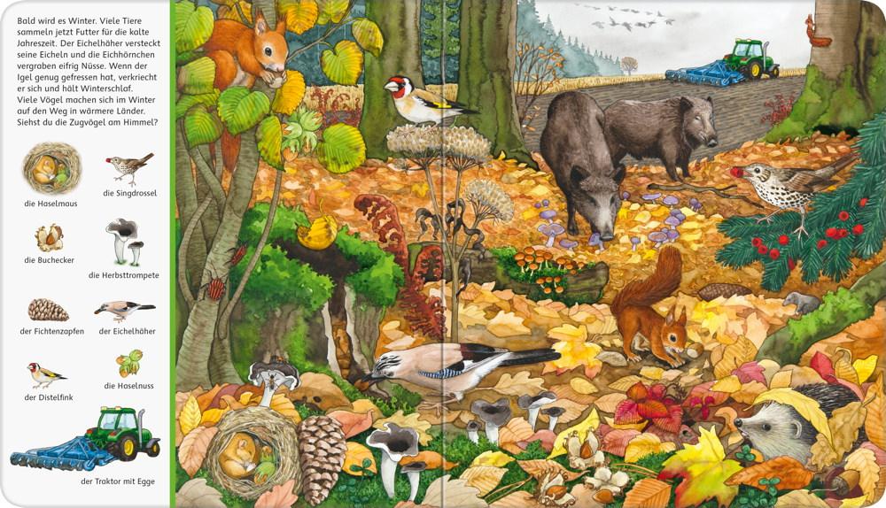 Ravensburger Pappbilderbuch Mein großes Sachen suchen Bei uns im Wald 43843