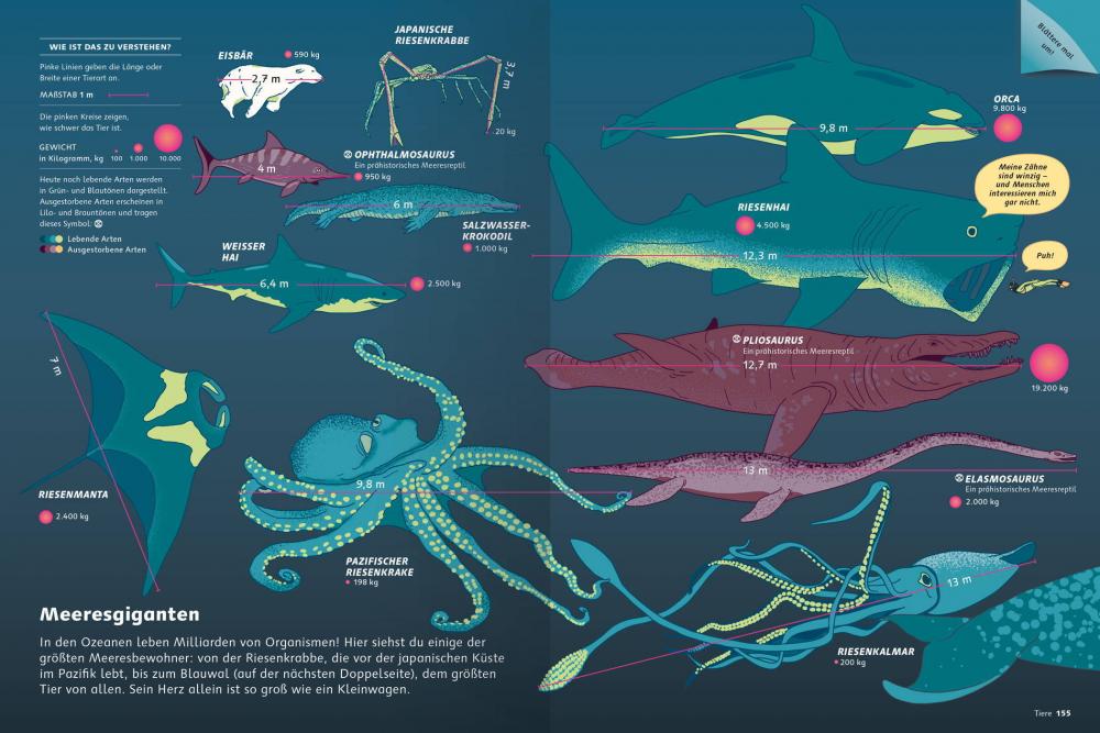 Ravensburger Buch Kindersachbuch Das große Buch der Infografiken 48079