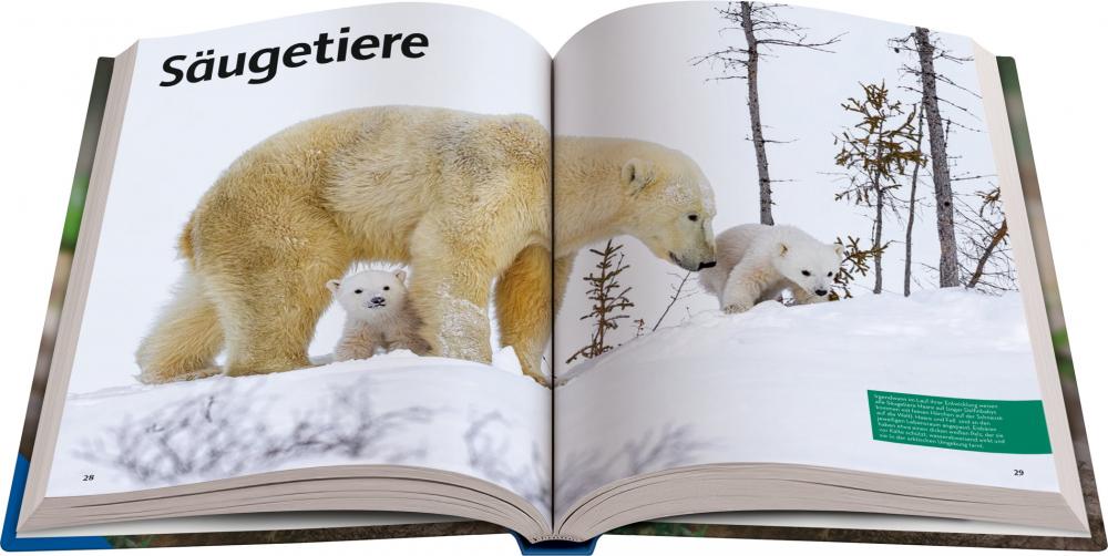 Ravensburger Buch Kindersachbuch National Geographic Kids Lexikon der Tiere 48095