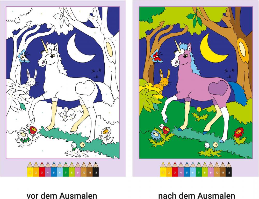 Ravensburger Buch Kreativität CreArt Malen nach Zahlen ab 5 Elfen im Zauberwald 48854