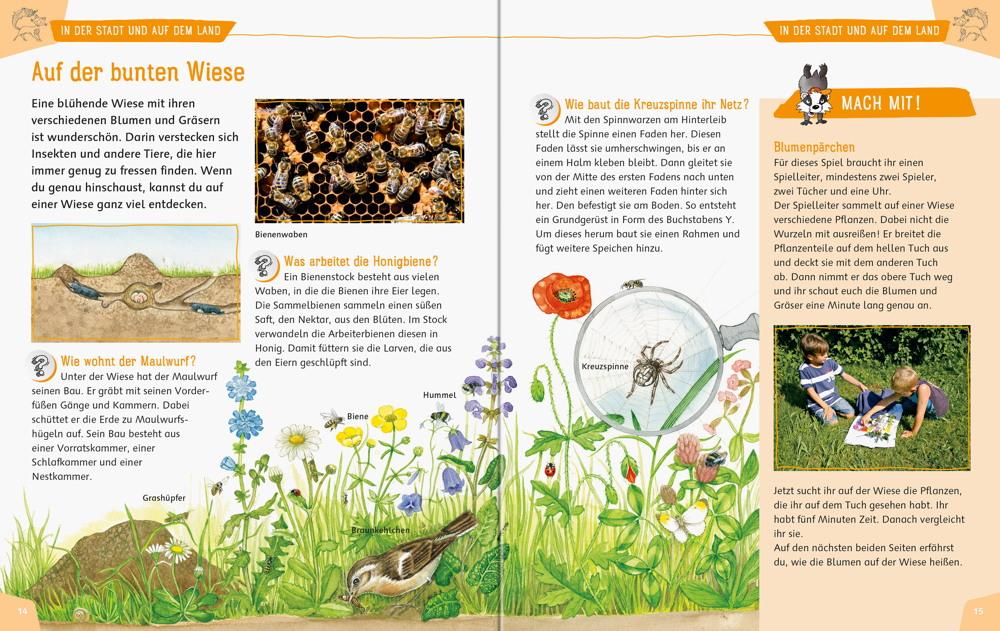 Ravensburger Kindersachbuch Mein großes Natur-Erlebnisbuch 55463