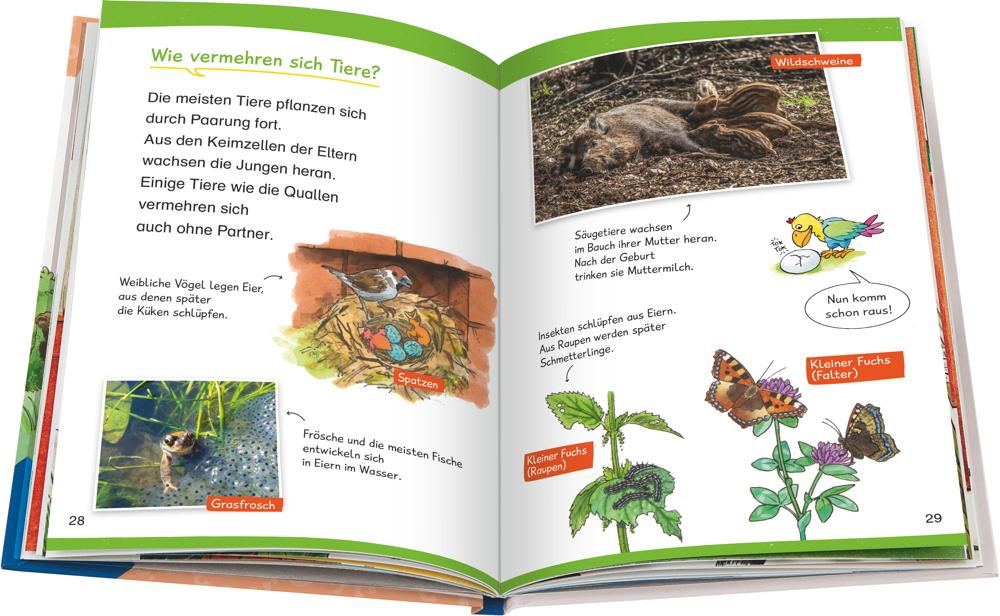 Ravensburger Buch Wieso? Weshalb? Warum? Erstleser Band 10 In der Natur 60047