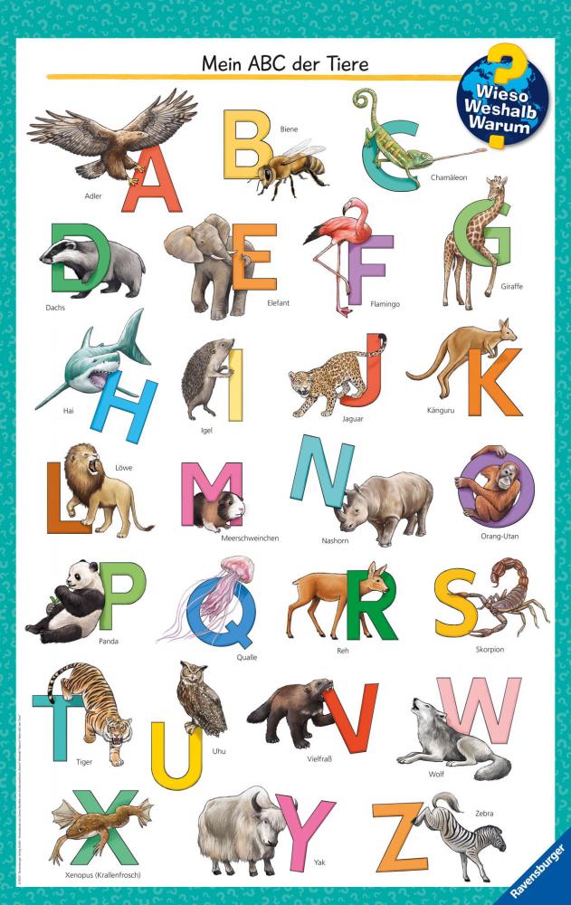 Ravensburger Buch Wieso? Weshalb? Warum? Kindersachbuch Mein ABC der Tiere 60077